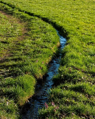 Drainage Solutions for a Healthy Lawn & Landscape​