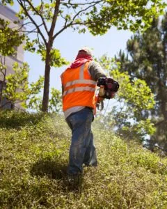 HOA & Community Landscaping Services
