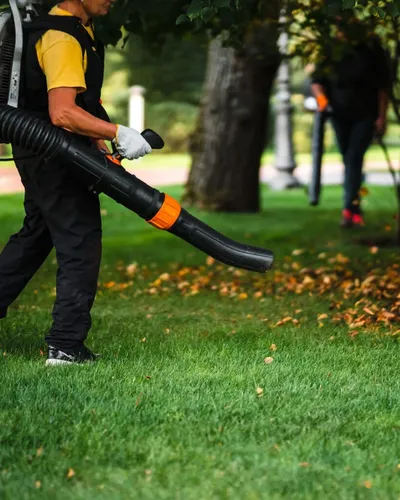 Leaf Removal & Clean-Up