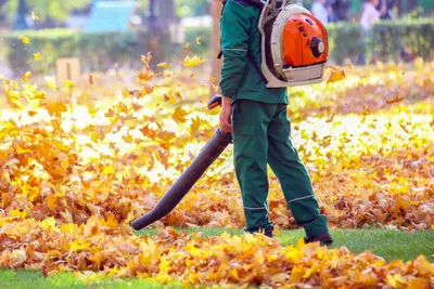 Fall Leaf Cleanup Near Me