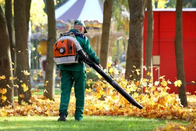 Fall Cleanup Services