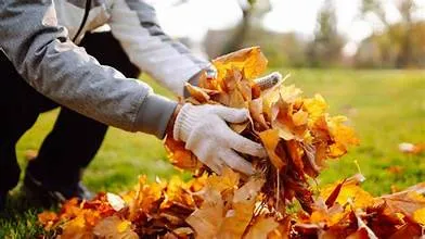 Fall Leaf Removal and Mulching Service