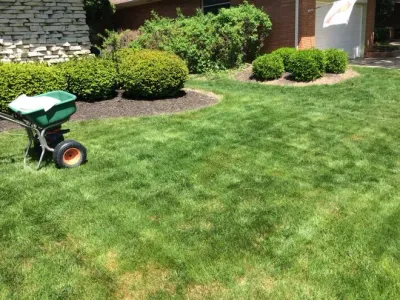 Fall Yard Maintenance Tips for Healthy Grass